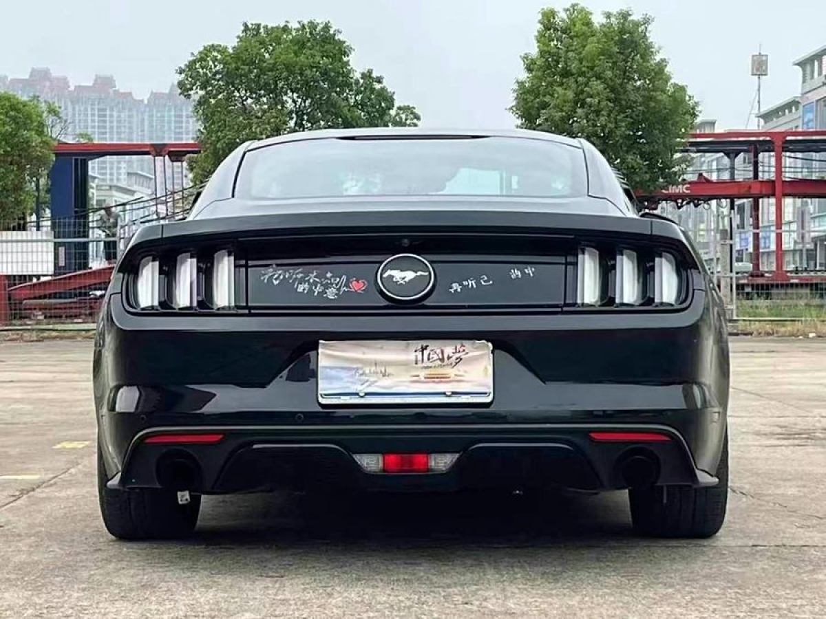 福特 Mustang  2015款 2.3T 性能版圖片