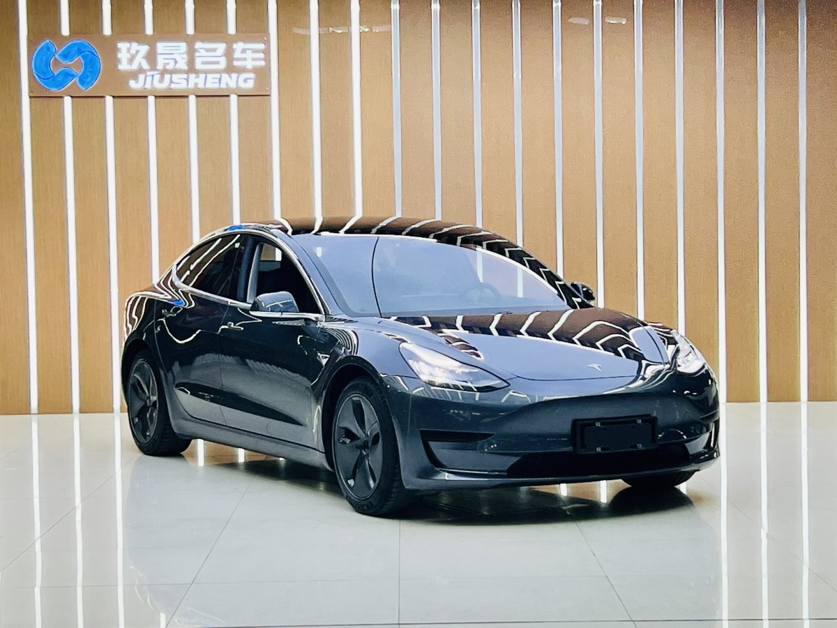 特斯拉 Model 3  2020款 改款 標(biāo)準(zhǔn)續(xù)航后驅(qū)升級(jí)版圖片