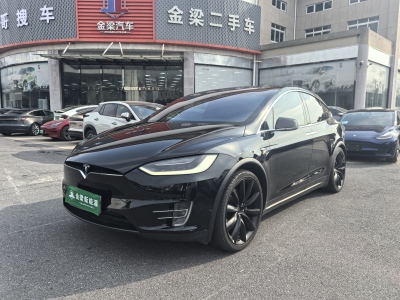 2018年1月 特斯拉 Model X Model X 100D 長(zhǎng)續(xù)航版圖片