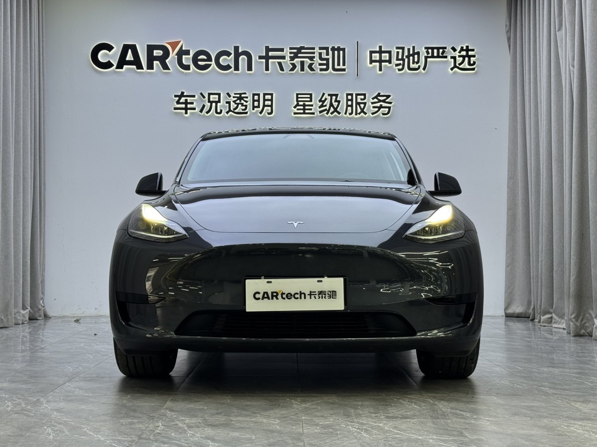 特斯拉 Model Y  2020款 改款 長續(xù)航后輪驅(qū)動版圖片