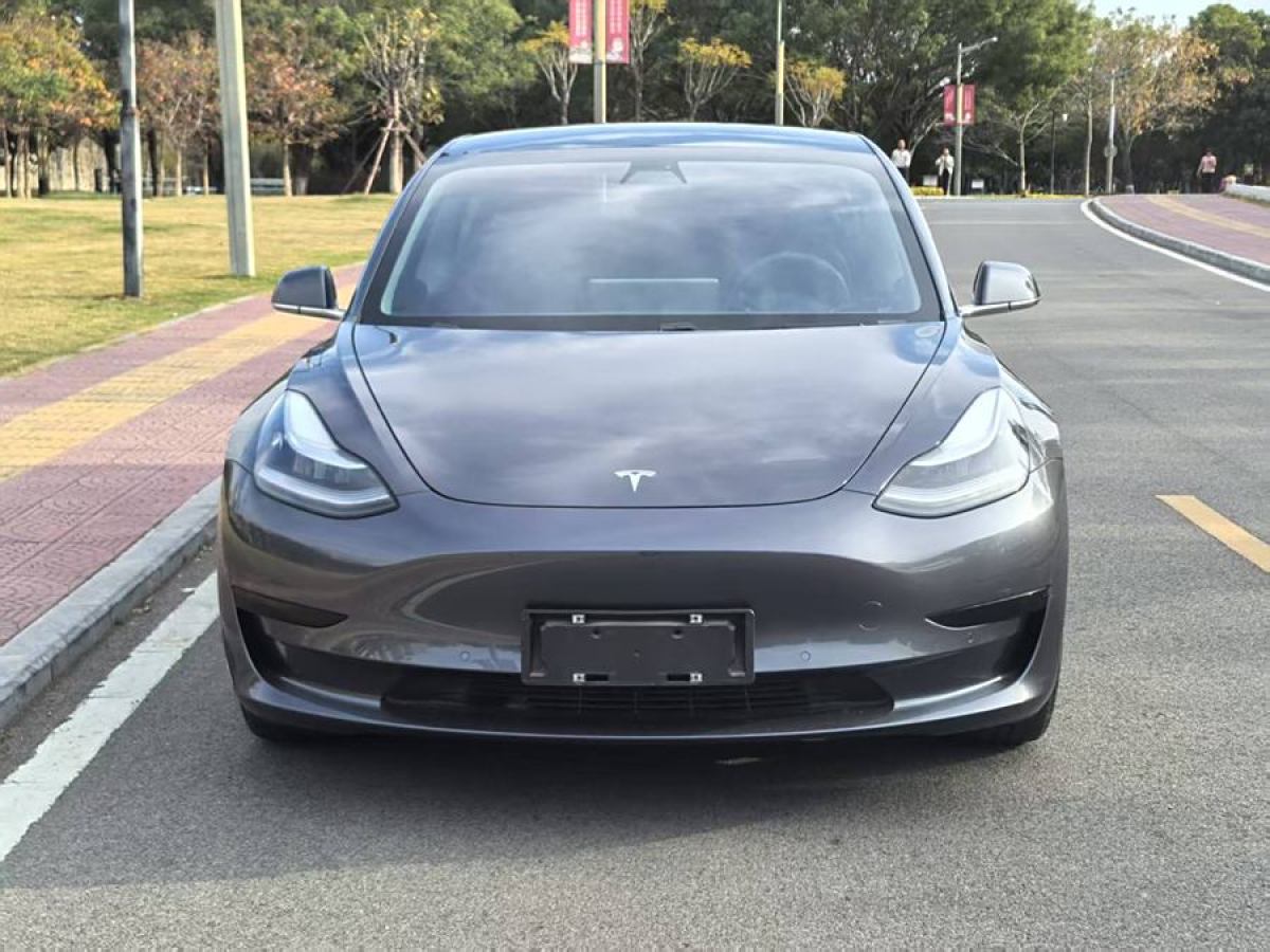 2020年4月特斯拉 Model 3  2020款 改款 標(biāo)準(zhǔn)續(xù)航后驅(qū)升級版