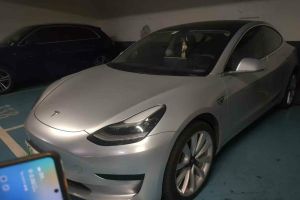 Model 3 特斯拉 标准续航后驱升级版