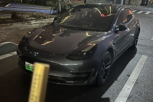 Model 3 特斯拉 标准续航后驱升级版