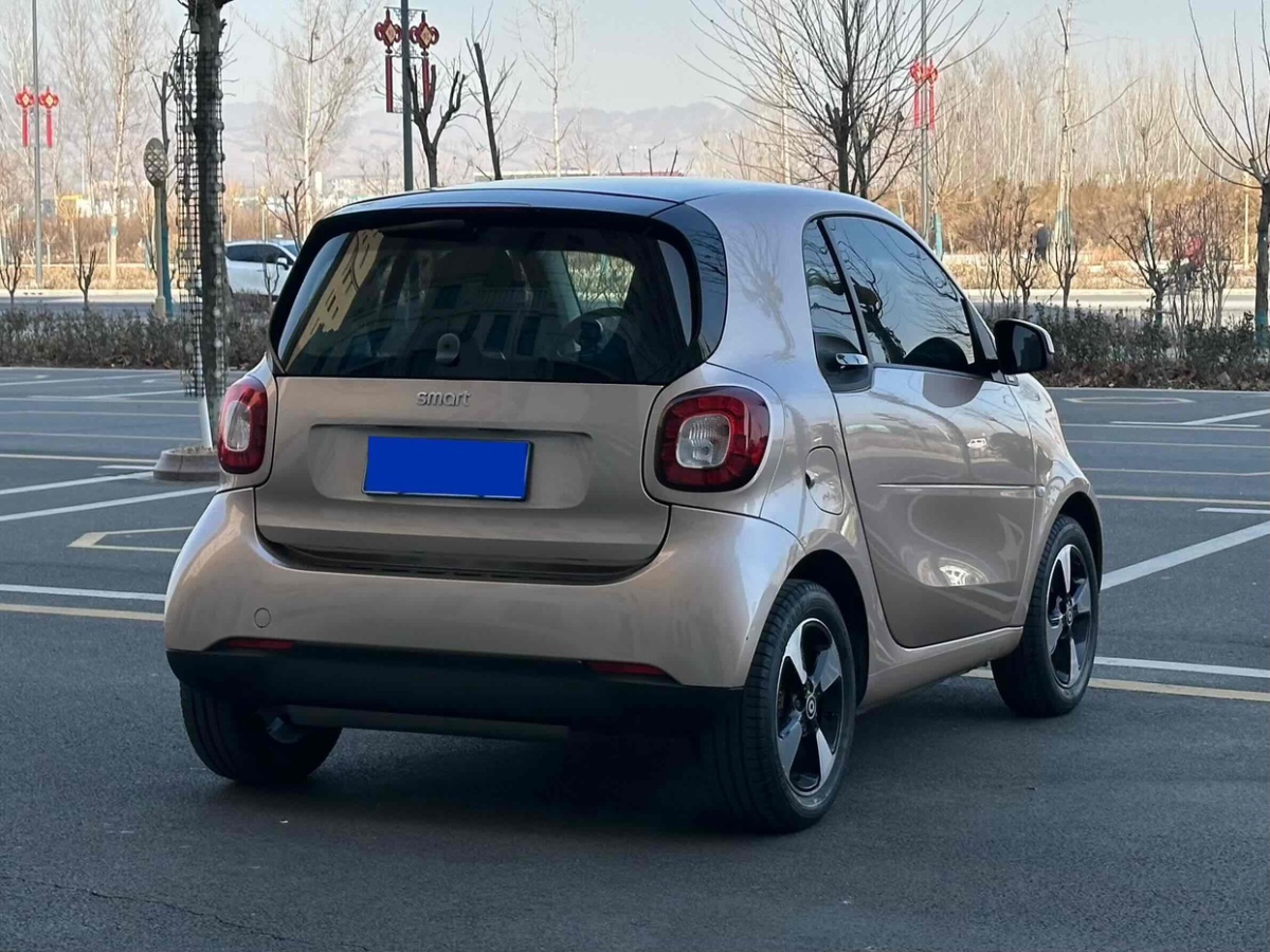 smart fortwo  2018款 1.0L 52千瓦耀金特別版圖片