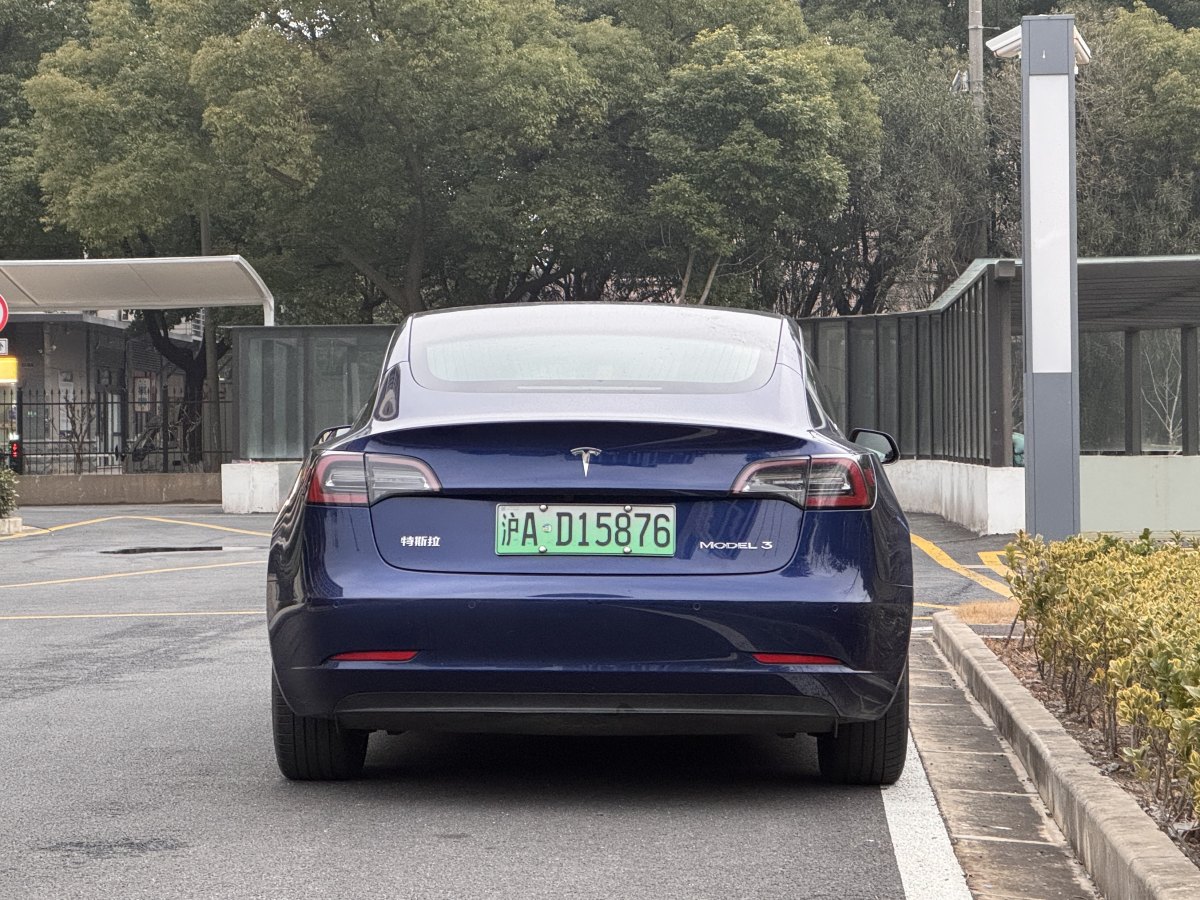 特斯拉 Model 3  2019款 標(biāo)準(zhǔn)續(xù)航后驅(qū)升級版圖片