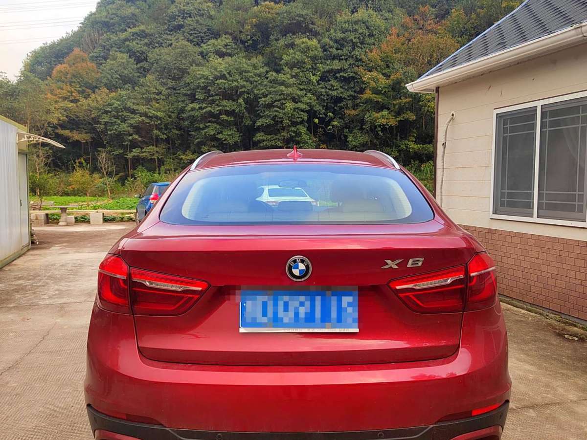 寶馬 寶馬X6  2015款 xDrive35i 豪華型圖片