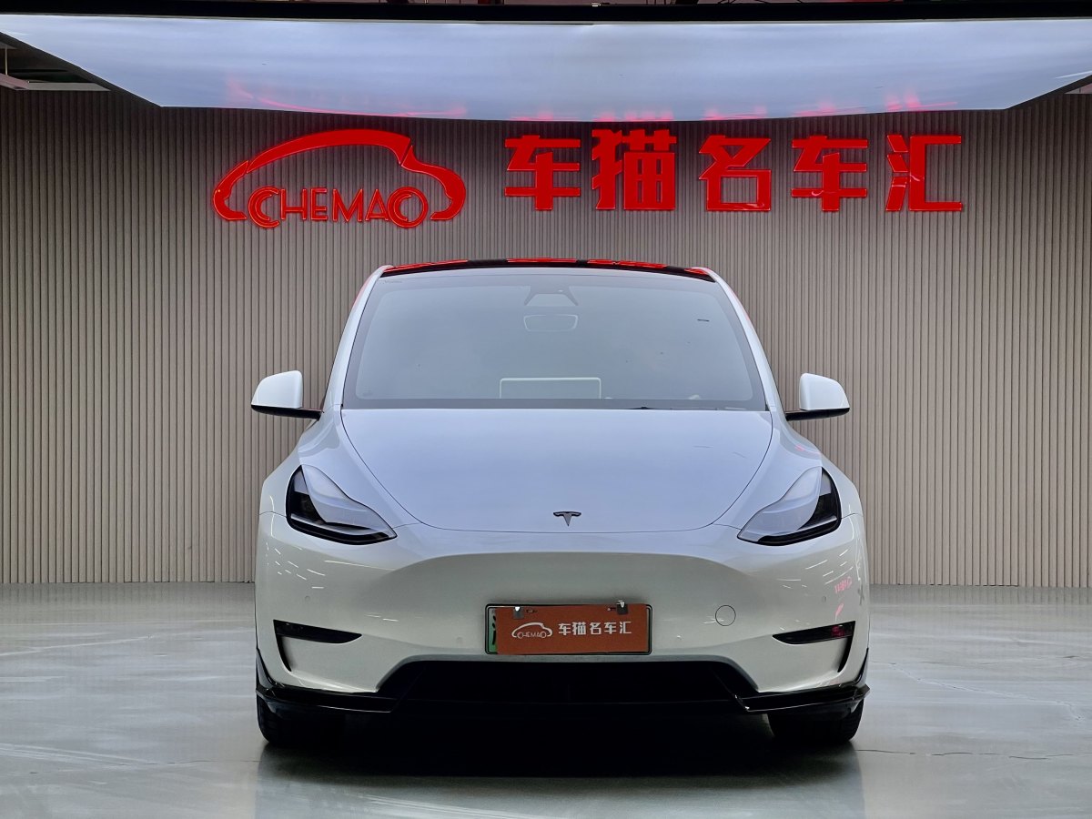 特斯拉 Model 3  2021款 改款 Performance高性能全輪驅動版圖片