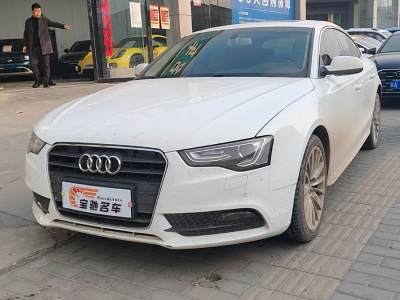 2014年6月 奧迪 奧迪A5(進(jìn)口) Sportback 45 TFSI圖片