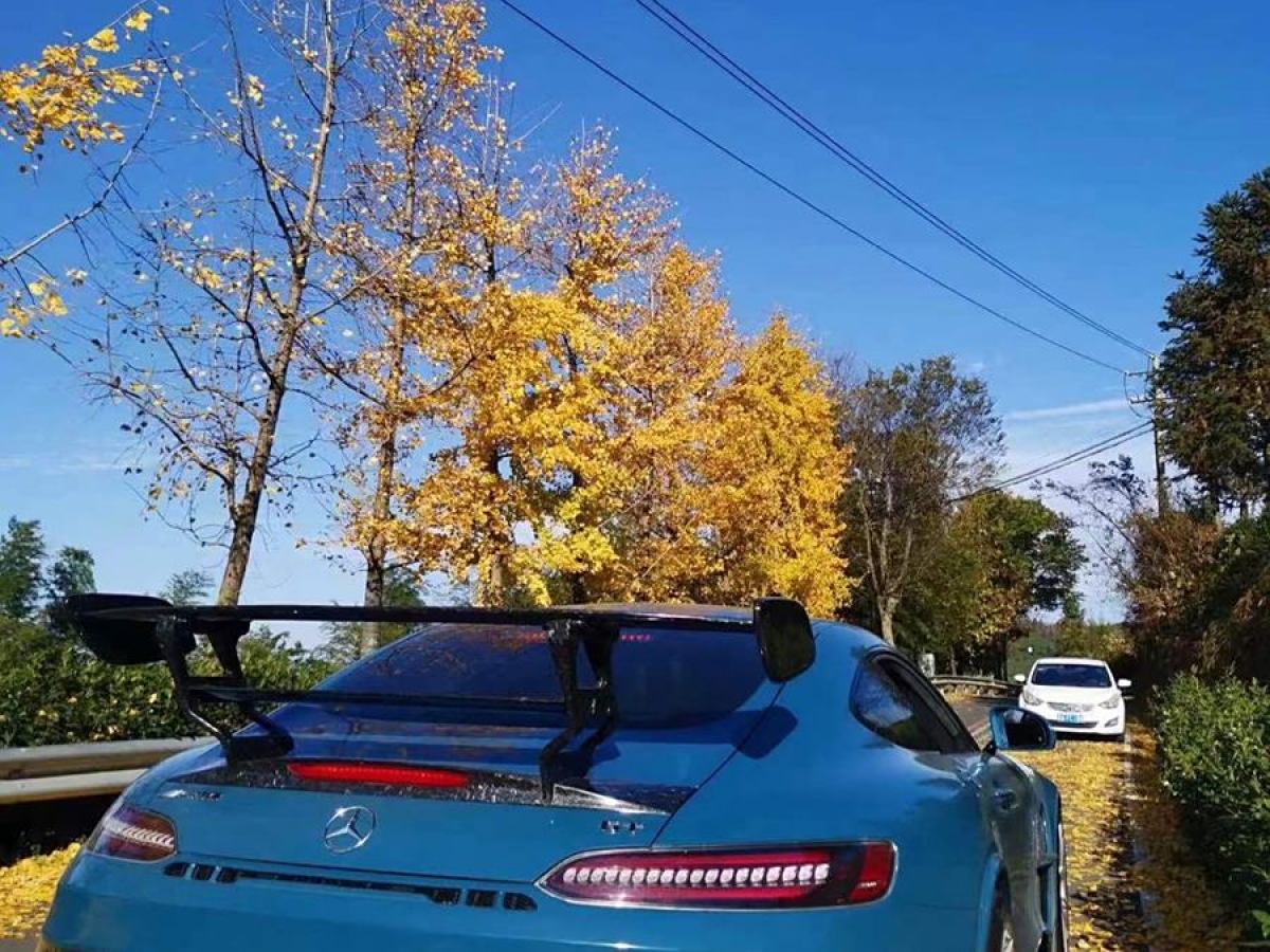 奔馳 奔馳AMG GT  2019款 AMG GT圖片