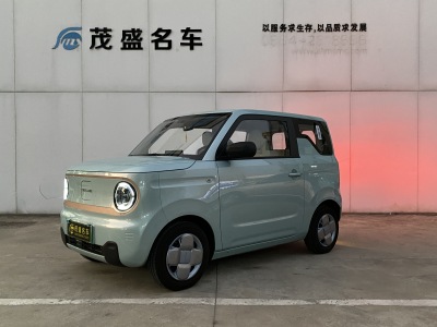 2024年1月 吉利 熊貓mini 200km 耐力熊圖片