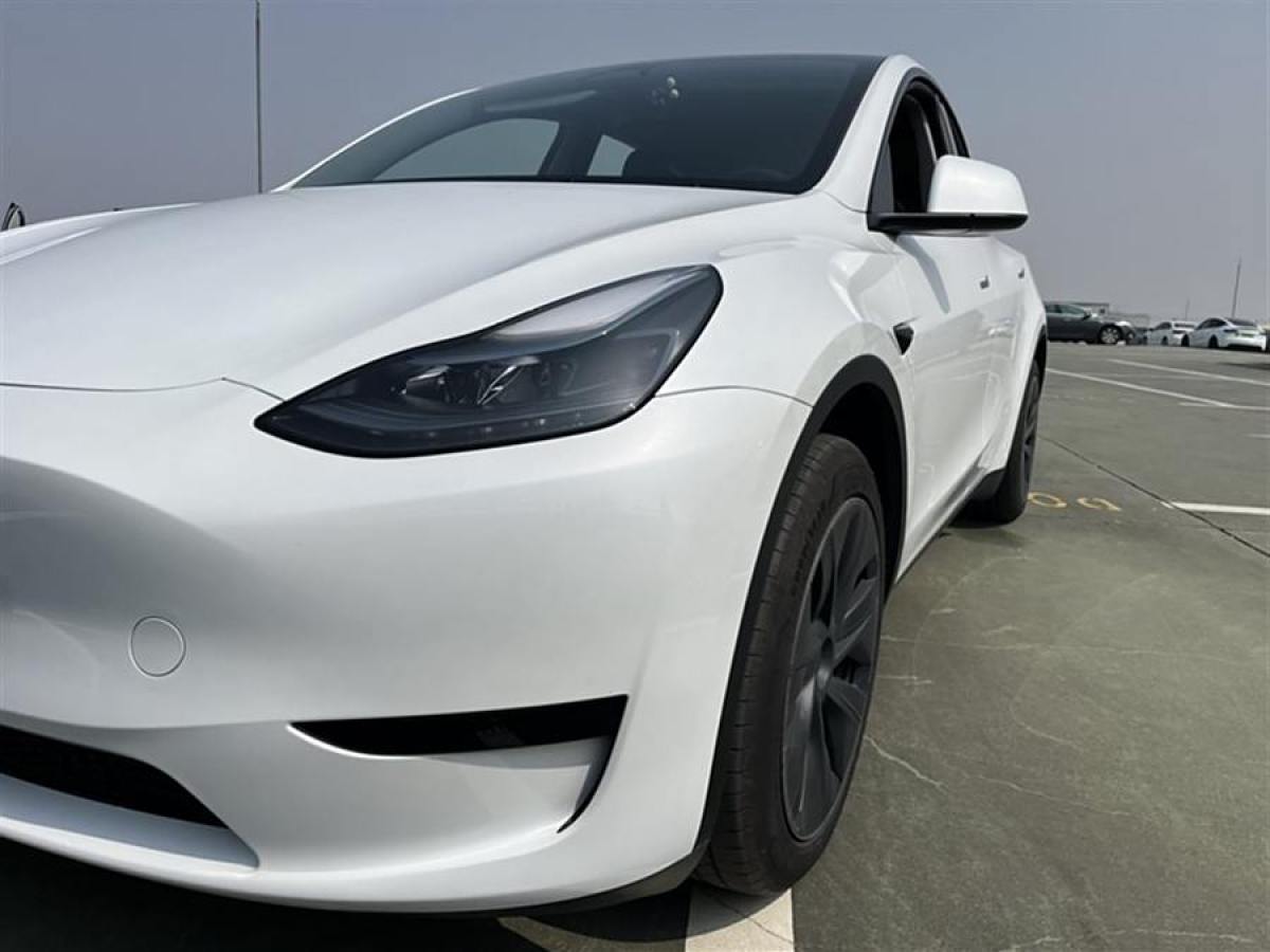 2024年3月特斯拉 Model 3  2020款 改款 長(zhǎng)續(xù)航后輪驅(qū)動(dòng)版