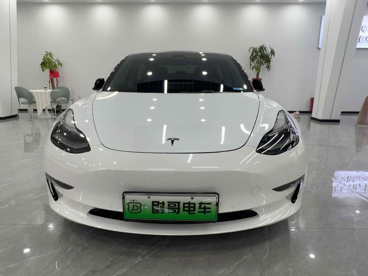 2021年2月特斯拉 Model 3  2019款 Performance高性能全輪驅(qū)動(dòng)版