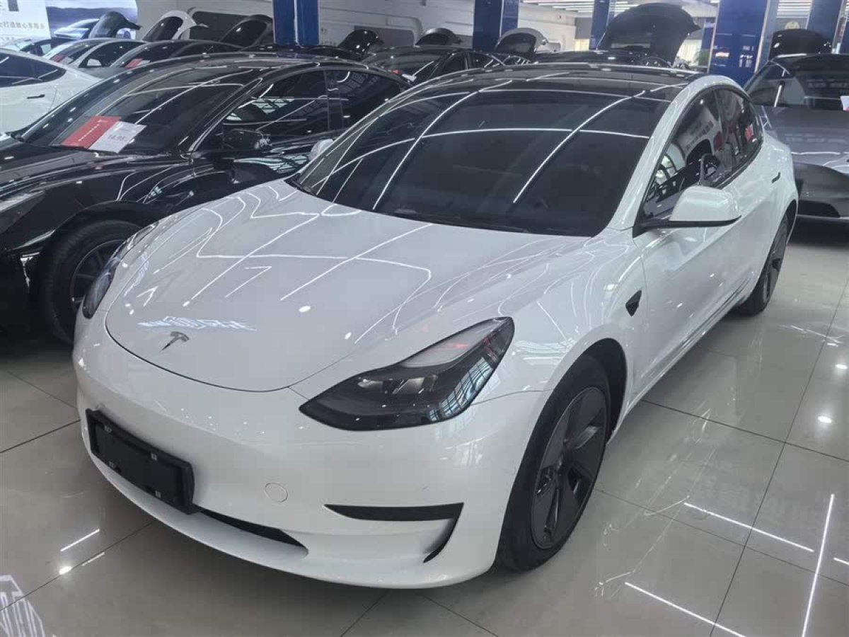 特斯拉 Model 3  2022款 后輪驅(qū)動(dòng)版圖片