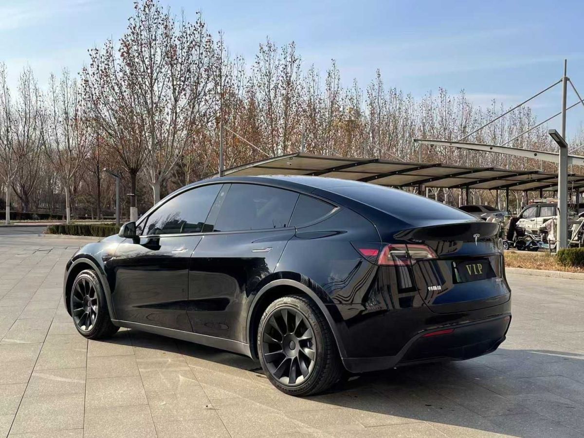 特斯拉 Model Y  2021款 標(biāo)準(zhǔn)續(xù)航后驅(qū)版圖片