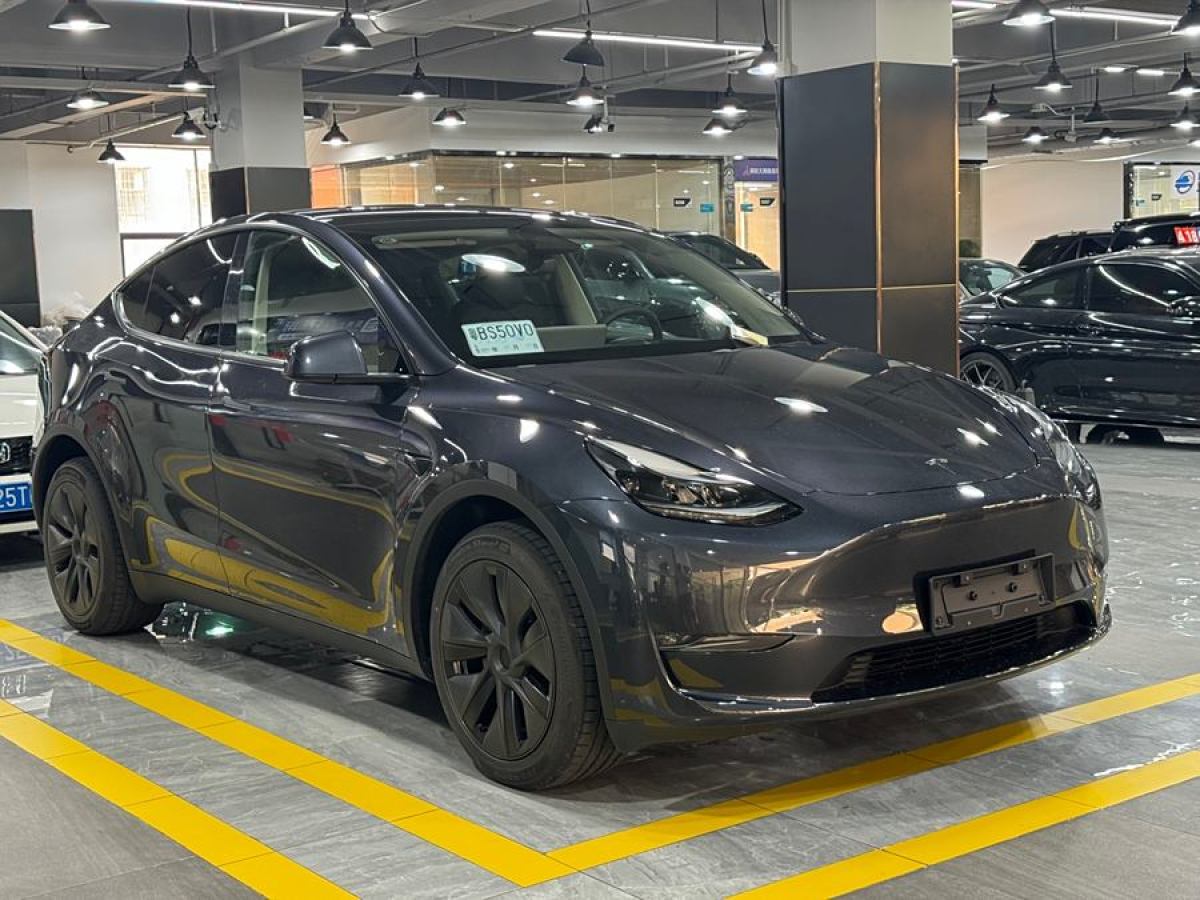 特斯拉 Model Y  2024款 長續(xù)航全輪驅動版圖片