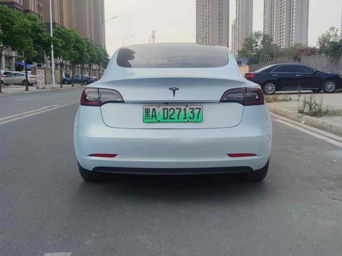 特斯拉 Model 3  2019款 標(biāo)準(zhǔn)續(xù)航后驅(qū)升級(jí)版圖片