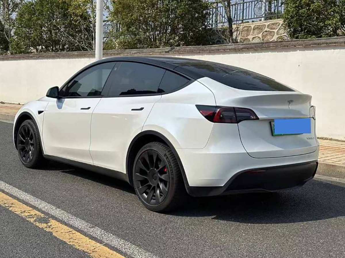 特斯拉 Model Y  2020款 改款 長(zhǎng)續(xù)航后輪驅(qū)動(dòng)版圖片