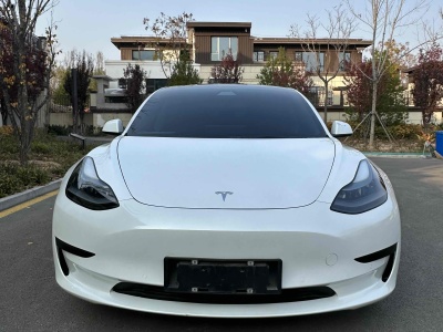 2021年8月 特斯拉 Model 3 标准续航后驱升级版图片