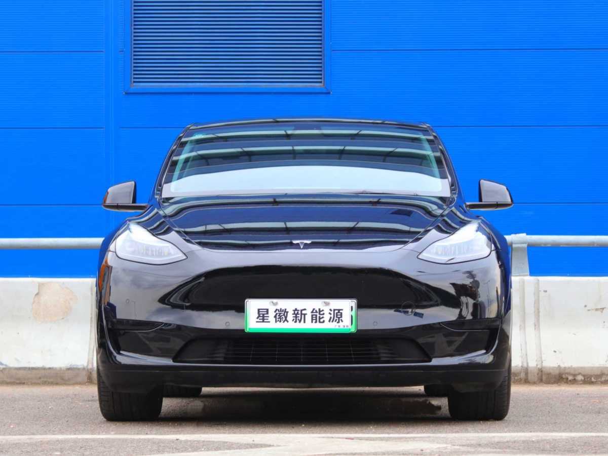 特斯拉 Model Y  2020款 改款 長續(xù)航后輪驅(qū)動版圖片