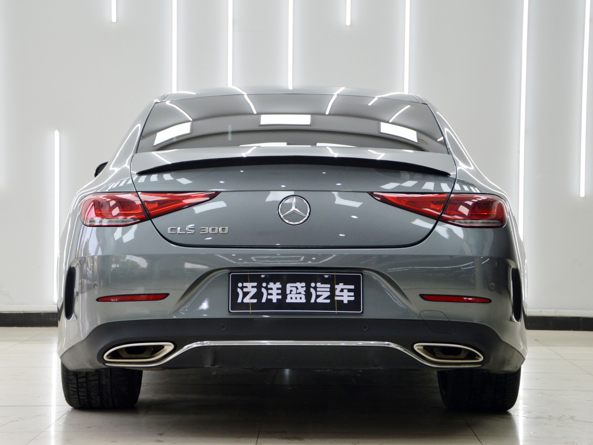 奔馳 奔馳CLS級  2018款 CLS 300 豪華型圖片