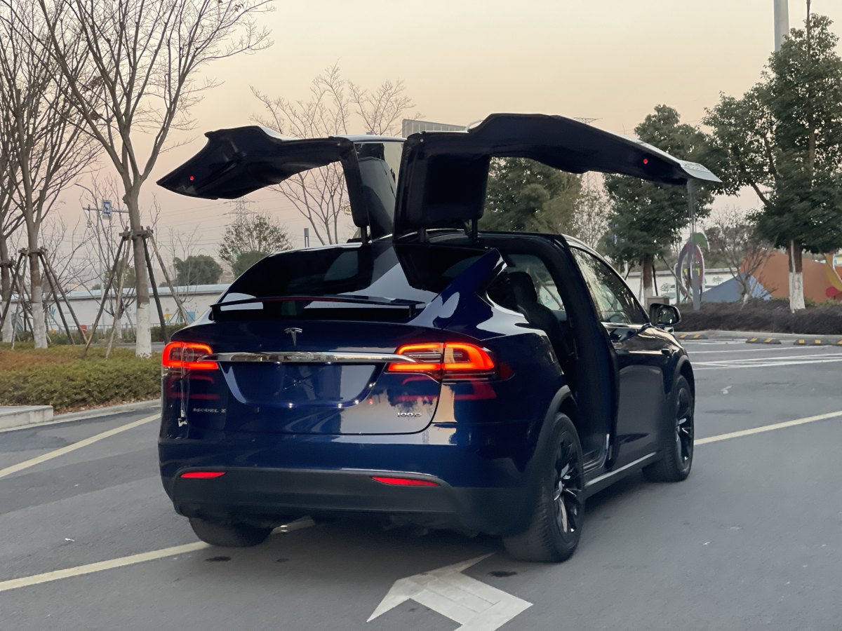 特斯拉 Model X  2017款 Model X 100D 長續(xù)航版圖片