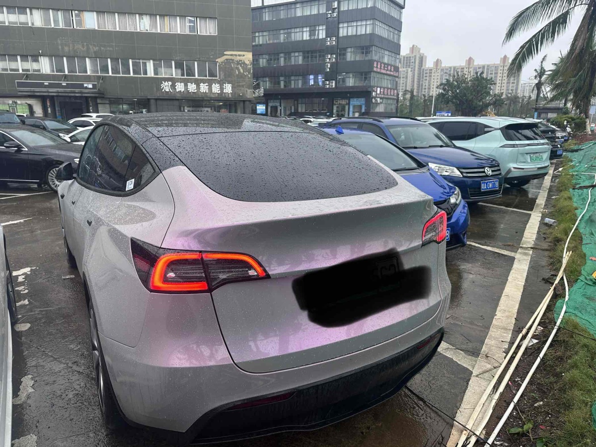 特斯拉 Model Y  2020款 改款 長續(xù)航后輪驅(qū)動版圖片