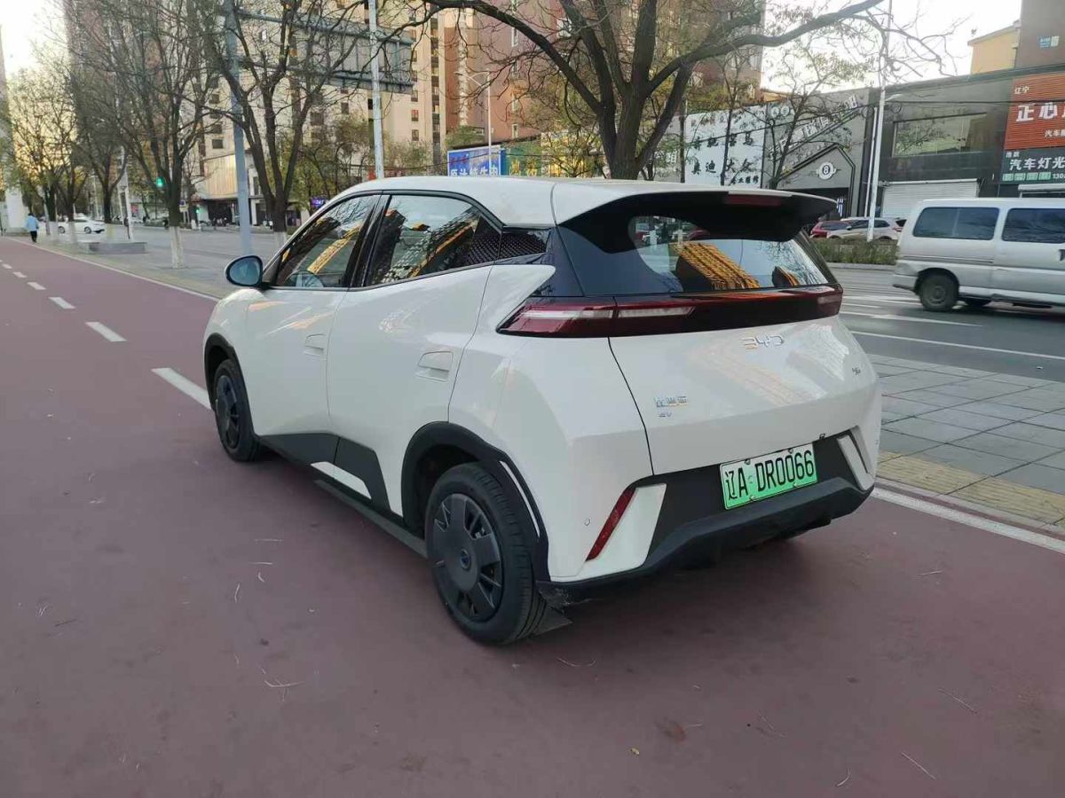 比亞迪 宋L DM-i  2024款 112km 超越型圖片