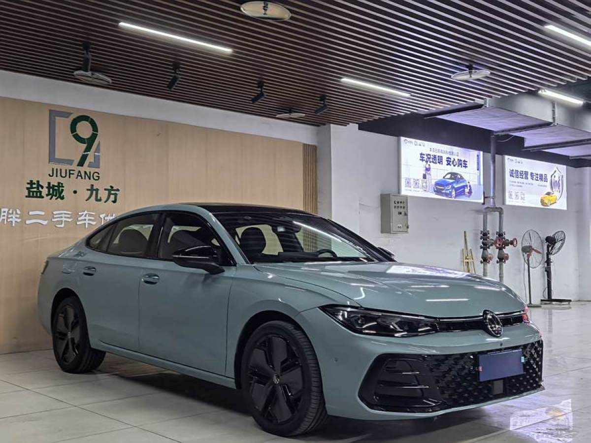 2024年8月大眾 帕薩特  2025款 Pro 380TSI 龍尊版