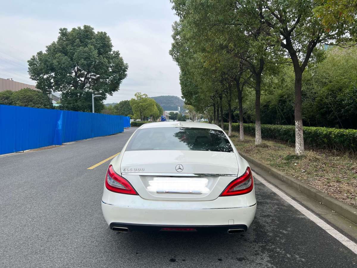 奔驰 奔驰cls级 2012款 cls 300 cgi图片