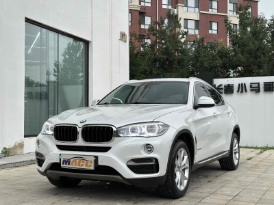 2019年1月 宝马 宝马X6(进口) xDrive35i 领先型图片