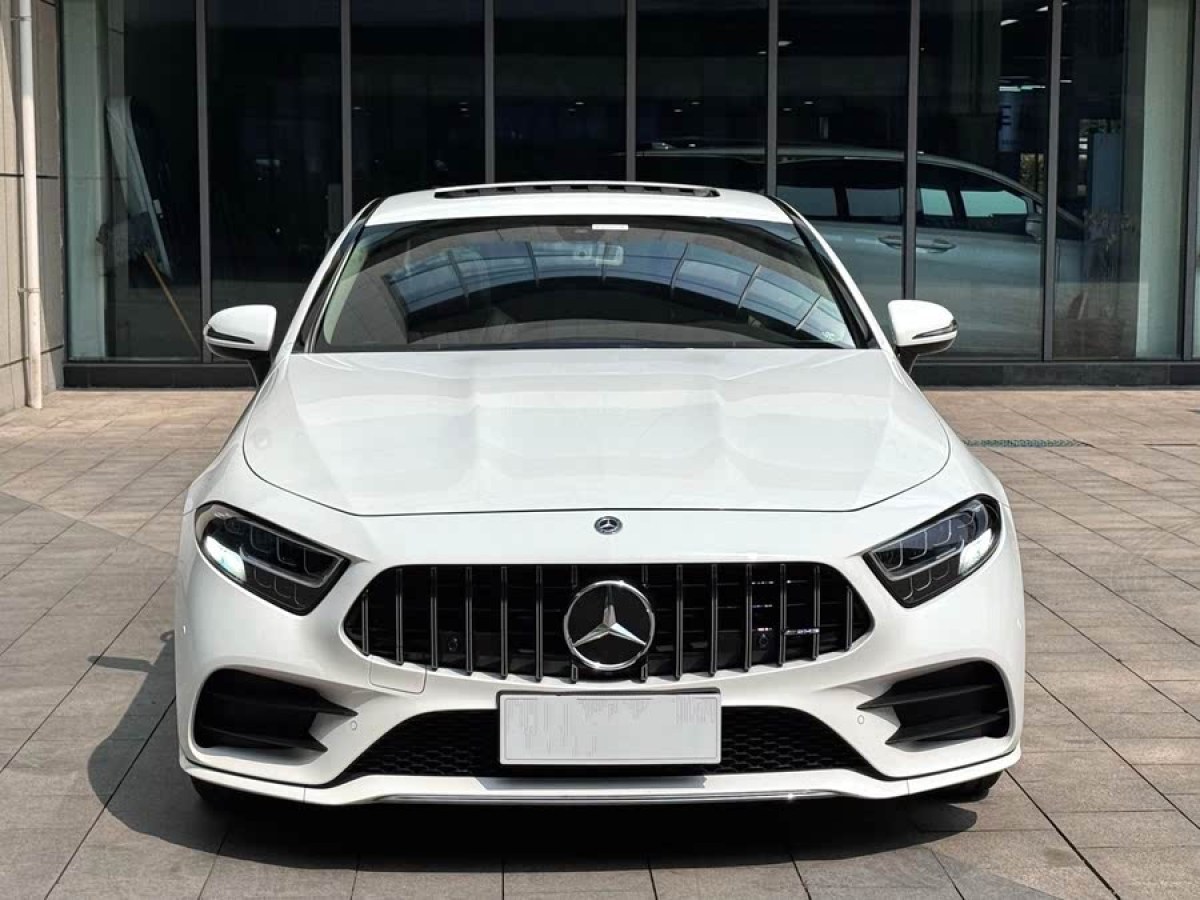 奔馳 奔馳CLS級(jí)  2020款 CLS 300 動(dòng)感型圖片