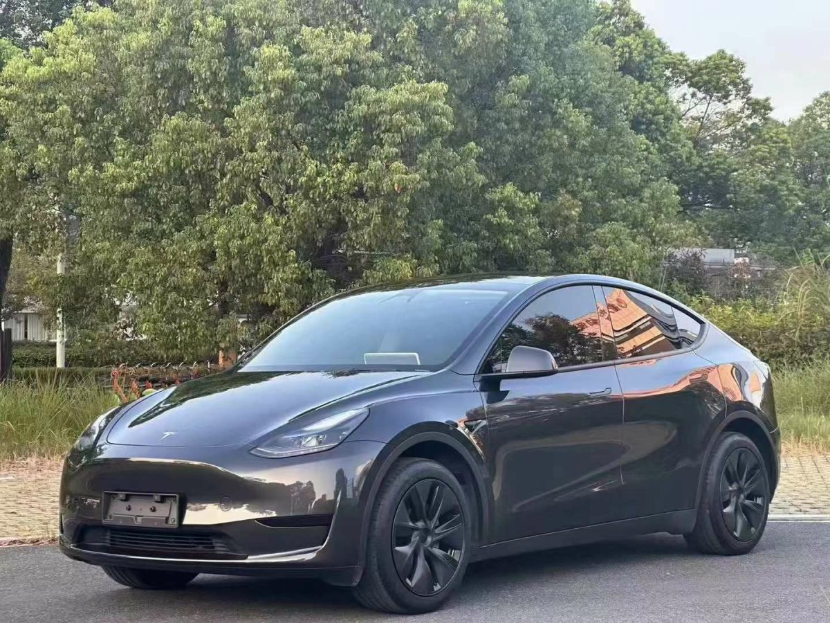 特斯拉 Model 3  2024款 Performance高性能版圖片