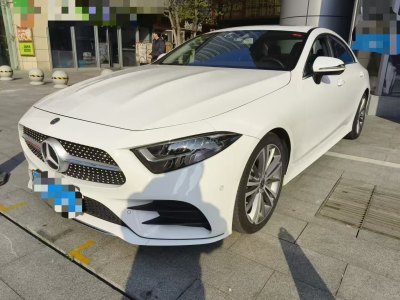 2020年1月 奔馳 奔馳CLS級(進(jìn)口) CLS 300 動感型圖片