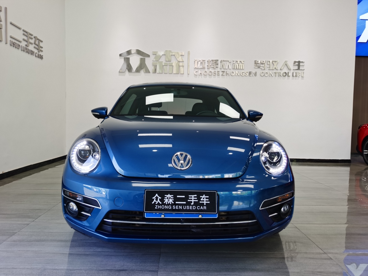 2019年1月大眾 甲殼蟲  2018款 180TSI 宜樂型
