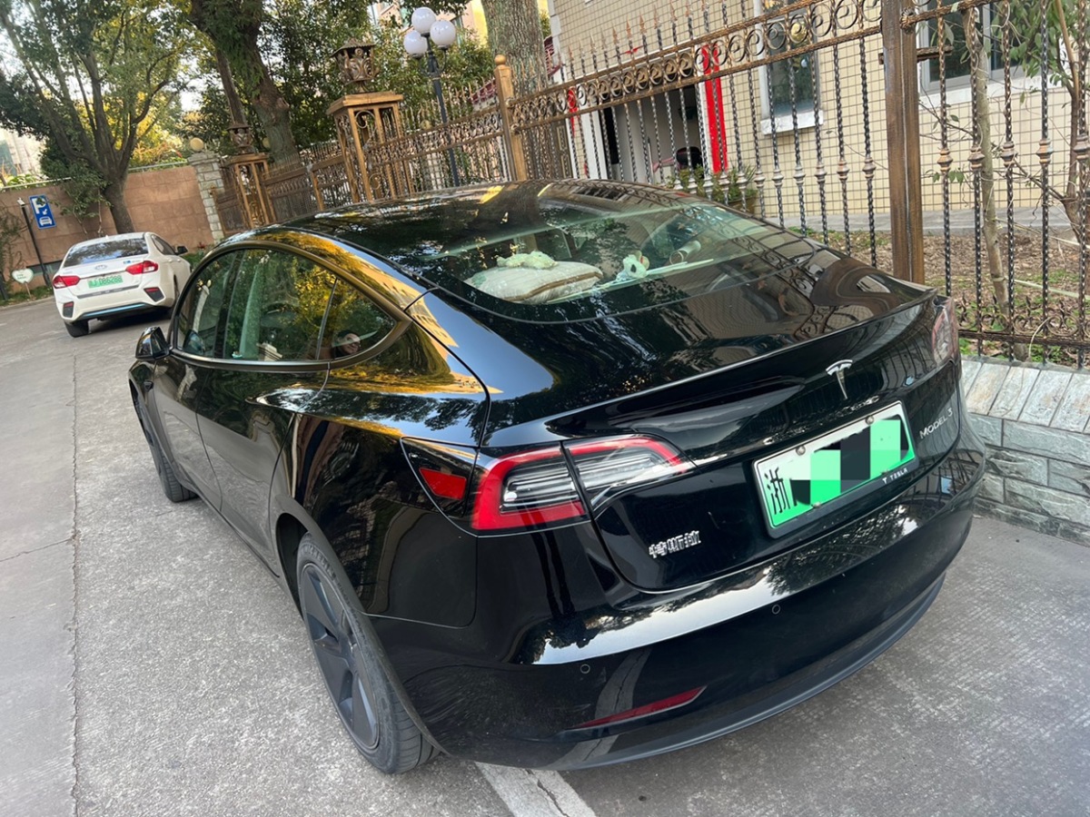 特斯拉 Model 3  2021款 標(biāo)準(zhǔn)續(xù)航后驅(qū)升級(jí)版 3D6圖片