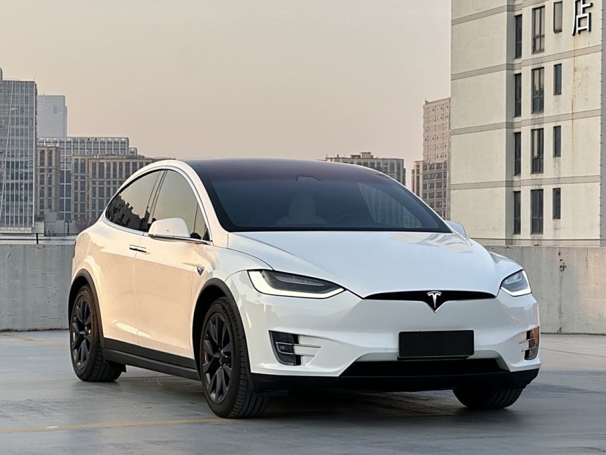 特斯拉 Model X  2019款 Performance 高性能版圖片