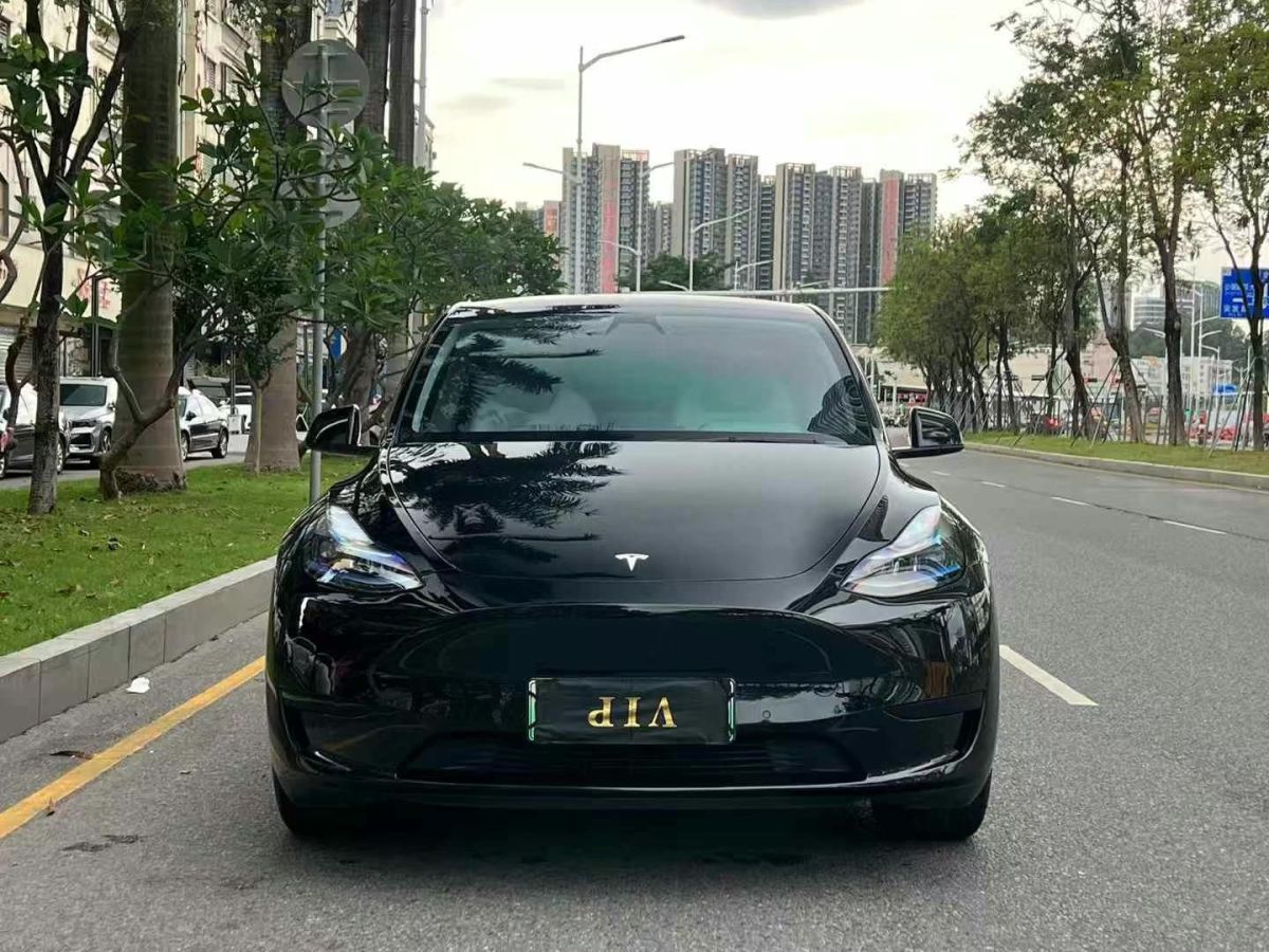 特斯拉 Model Y  2022款 后驅(qū)版圖片