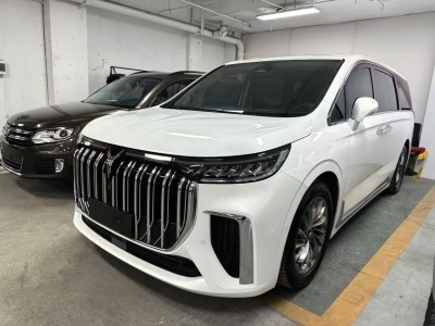 2024年09月 嵐圖 夢想家 PHEV 超長續(xù)航旗艦版圖片