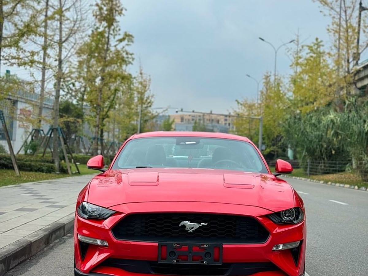 福特 Mustang  2019款 2.3L EcoBoost圖片