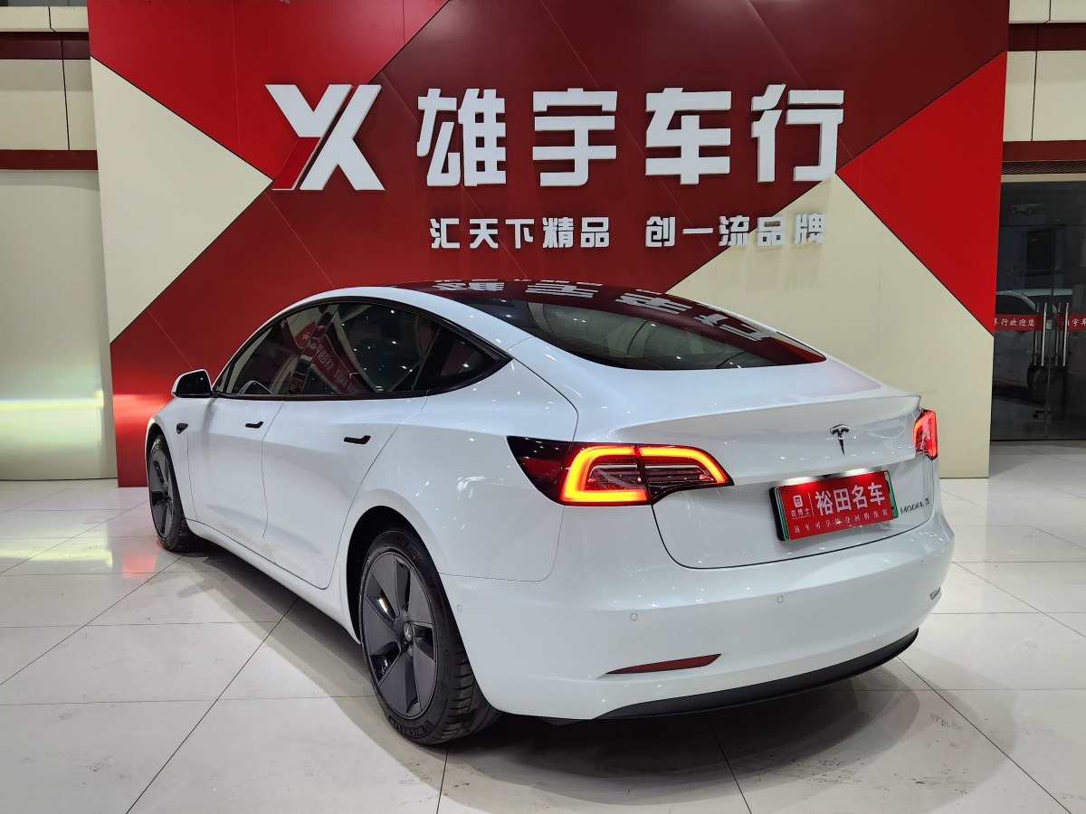 特斯拉 Model 3  2019款 標(biāo)準(zhǔn)續(xù)航后驅(qū)升級版圖片