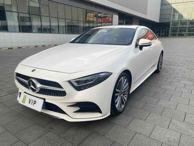 2019年3月 奔馳 奔馳CLS級(進口) CLS 300 動感型圖片