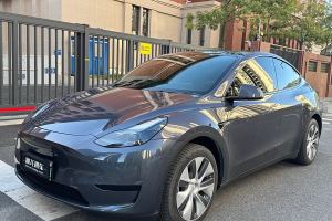 Model Y 特斯拉 改款 长续航后轮驱动版