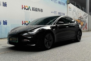 Model 3 特斯拉 标准续航后驱升级版