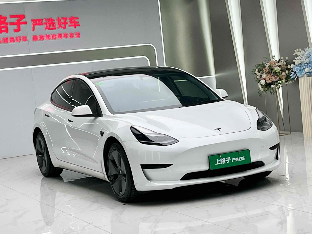 特斯拉 Model 3  2019款 標準續(xù)航后驅(qū)升級版圖片