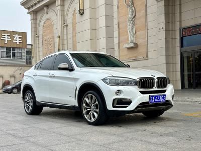 2017年3月 寶馬 寶馬X6(進口) xDrive35i 領(lǐng)先型圖片