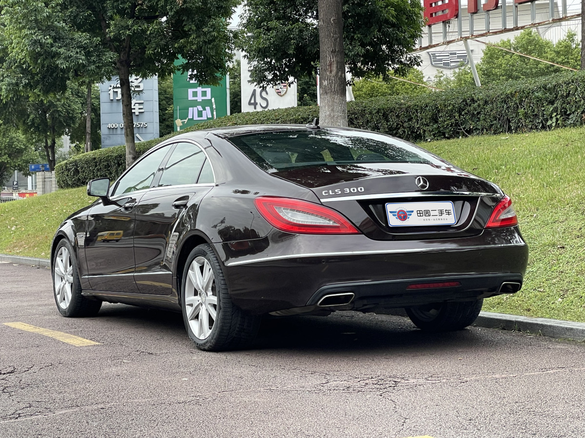 奔馳 奔馳CLS級(jí)  2012款 CLS 300 CGI圖片