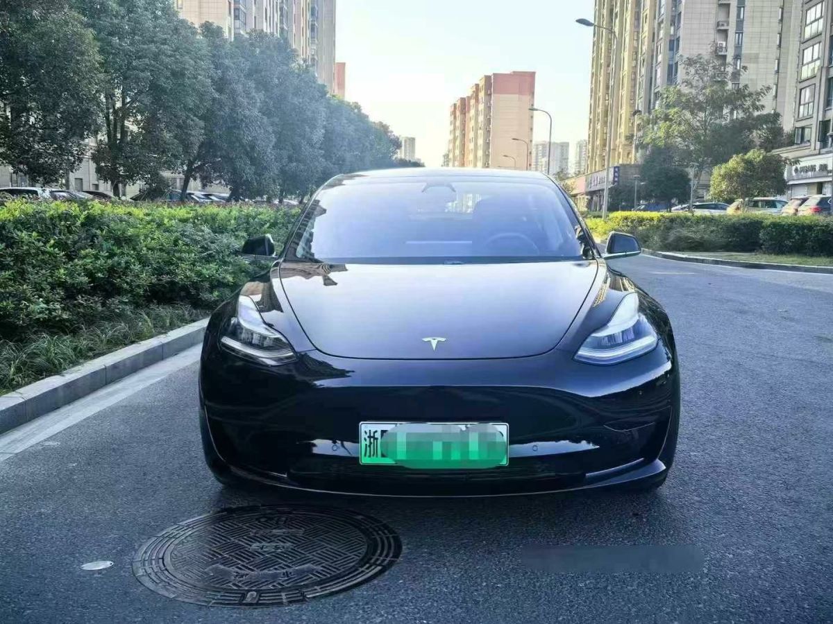 特斯拉 Model X  2020款 Performance 高性能版圖片