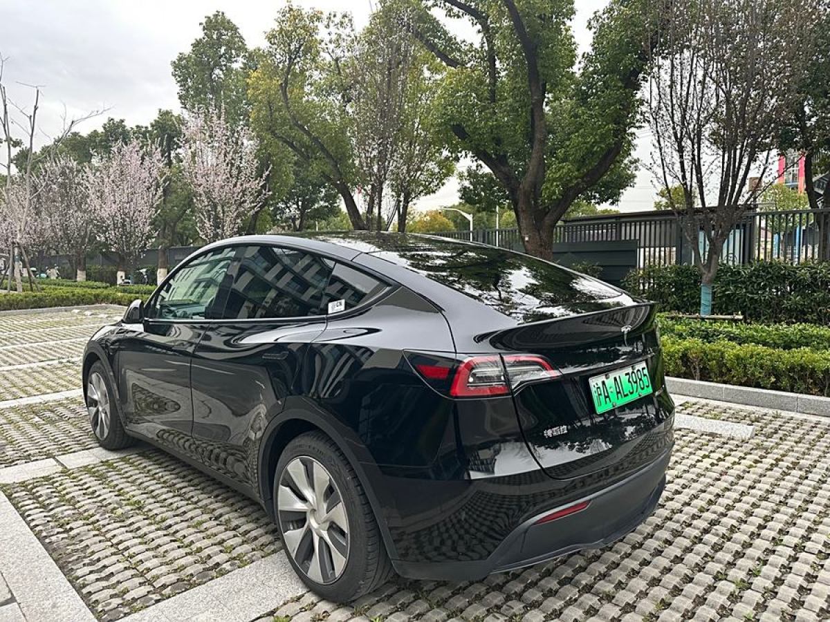 2022年2月特斯拉 Model 3  2022款 后輪驅(qū)動版