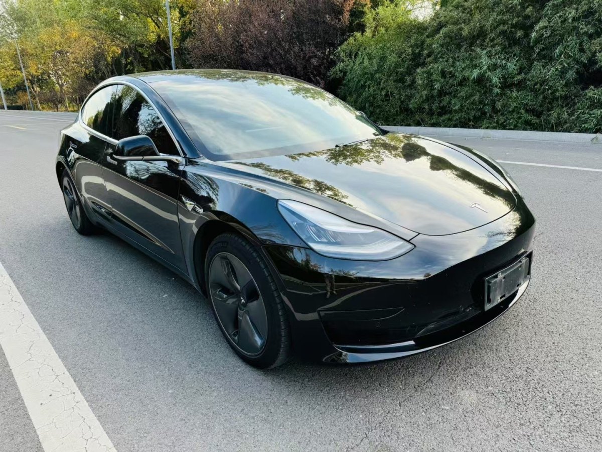 特斯拉 Model 3  2019款 標(biāo)準(zhǔn)續(xù)航后驅(qū)升級(jí)版圖片