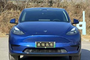 Model Y 特斯拉 Performance高性能版